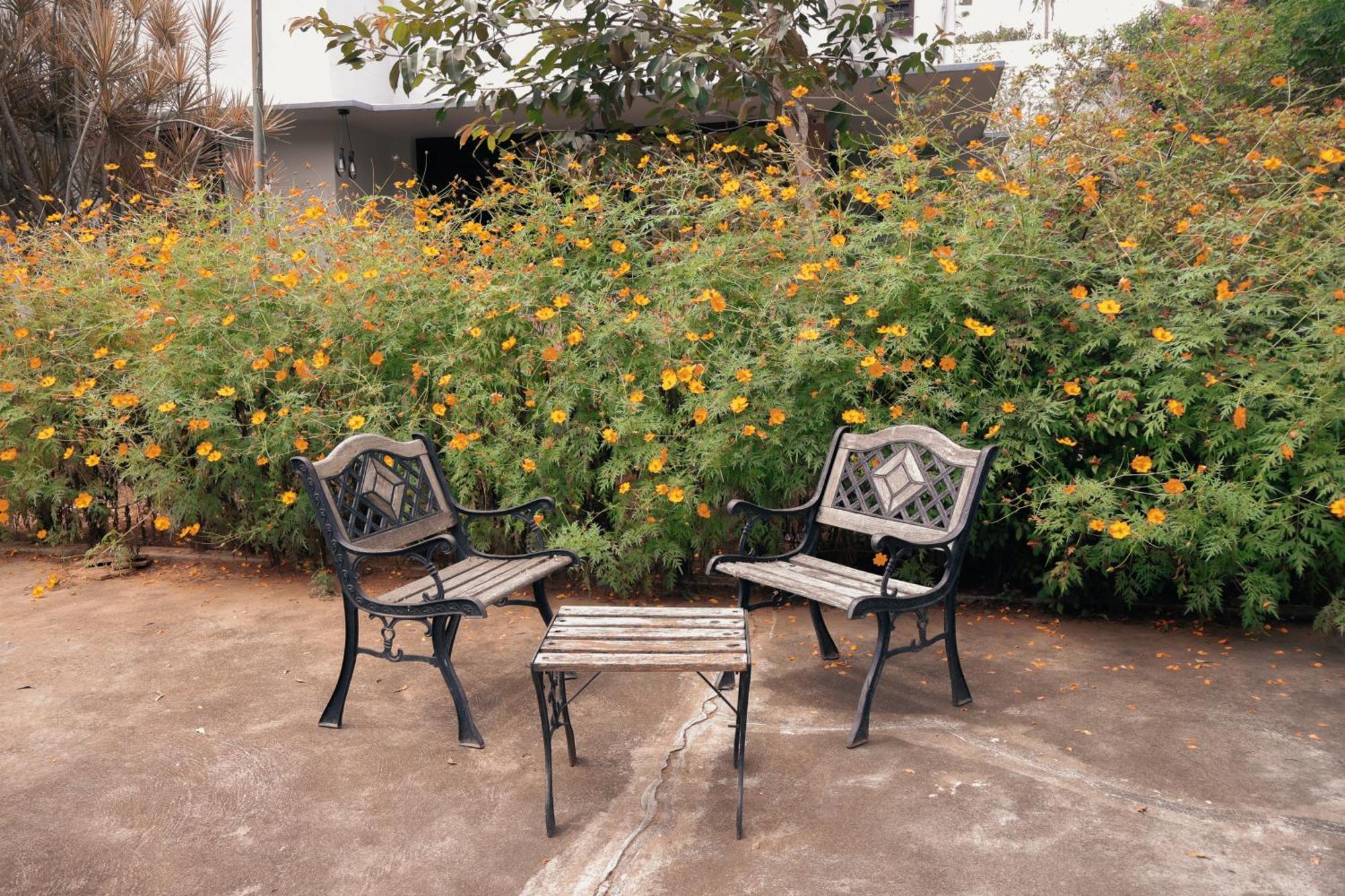 Hostel Stories Mysore Eksteriør billede